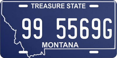 MT license plate 995569G