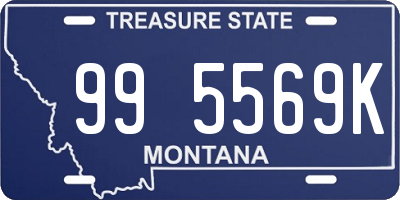 MT license plate 995569K