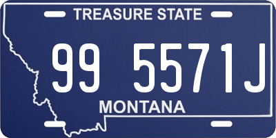 MT license plate 995571J