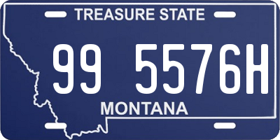 MT license plate 995576H