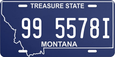 MT license plate 995578I