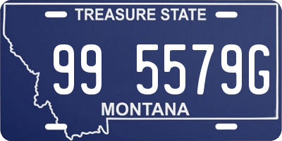 MT license plate 995579G