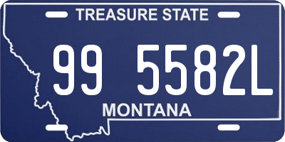 MT license plate 995582L