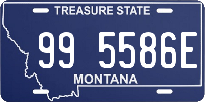 MT license plate 995586E