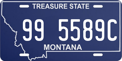 MT license plate 995589C