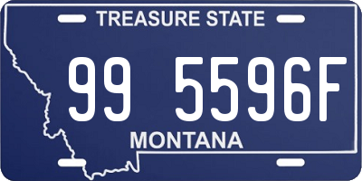 MT license plate 995596F