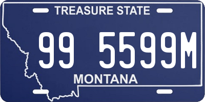 MT license plate 995599M