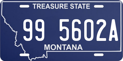 MT license plate 995602A