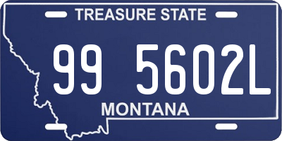 MT license plate 995602L