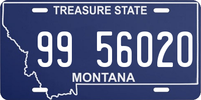 MT license plate 995602O