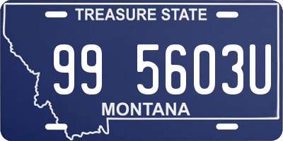 MT license plate 995603U