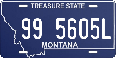 MT license plate 995605L