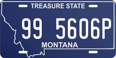 MT license plate 995606P