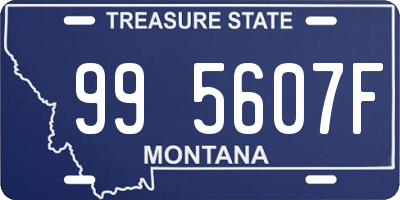 MT license plate 995607F