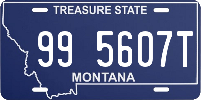 MT license plate 995607T