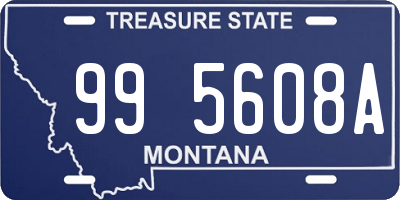 MT license plate 995608A