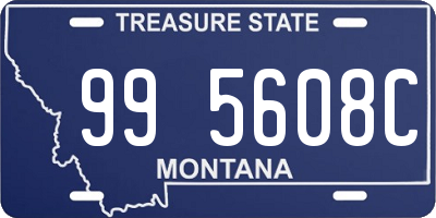 MT license plate 995608C