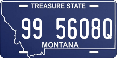 MT license plate 995608Q