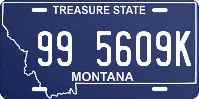 MT license plate 995609K