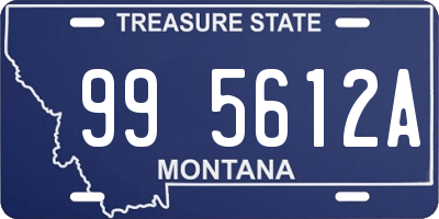 MT license plate 995612A