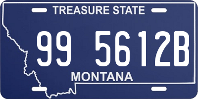 MT license plate 995612B