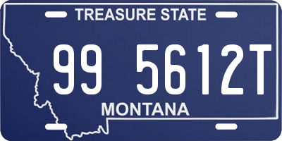 MT license plate 995612T