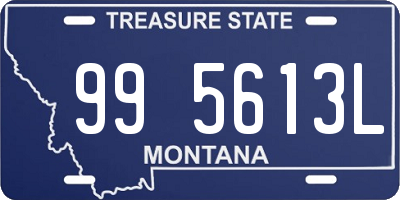 MT license plate 995613L