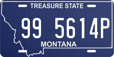 MT license plate 995614P