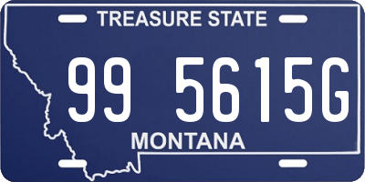 MT license plate 995615G