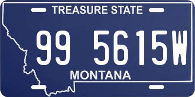 MT license plate 995615W