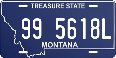 MT license plate 995618L