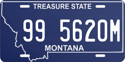 MT license plate 995620M
