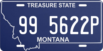 MT license plate 995622P