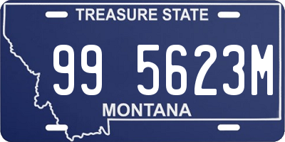 MT license plate 995623M