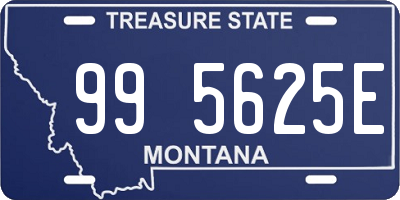 MT license plate 995625E