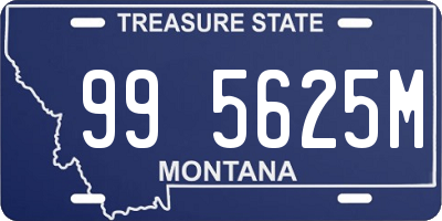MT license plate 995625M