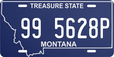 MT license plate 995628P