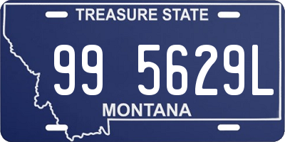 MT license plate 995629L