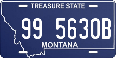 MT license plate 995630B