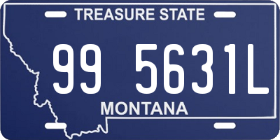 MT license plate 995631L