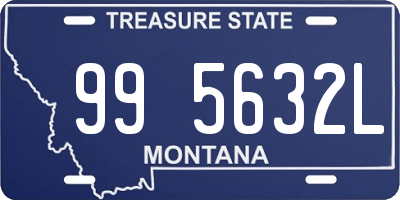 MT license plate 995632L