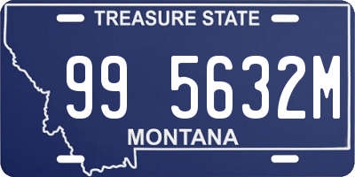 MT license plate 995632M