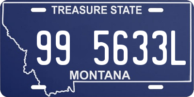 MT license plate 995633L