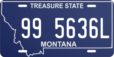 MT license plate 995636L