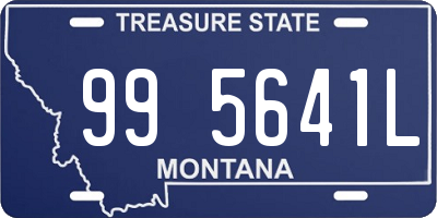 MT license plate 995641L