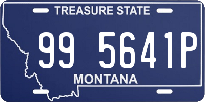 MT license plate 995641P