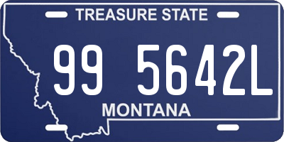 MT license plate 995642L