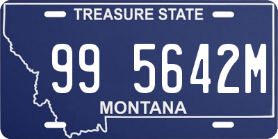 MT license plate 995642M