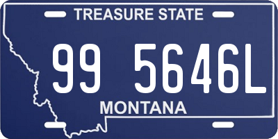 MT license plate 995646L