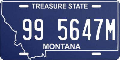 MT license plate 995647M